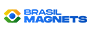 Logo da Brasil Magnets